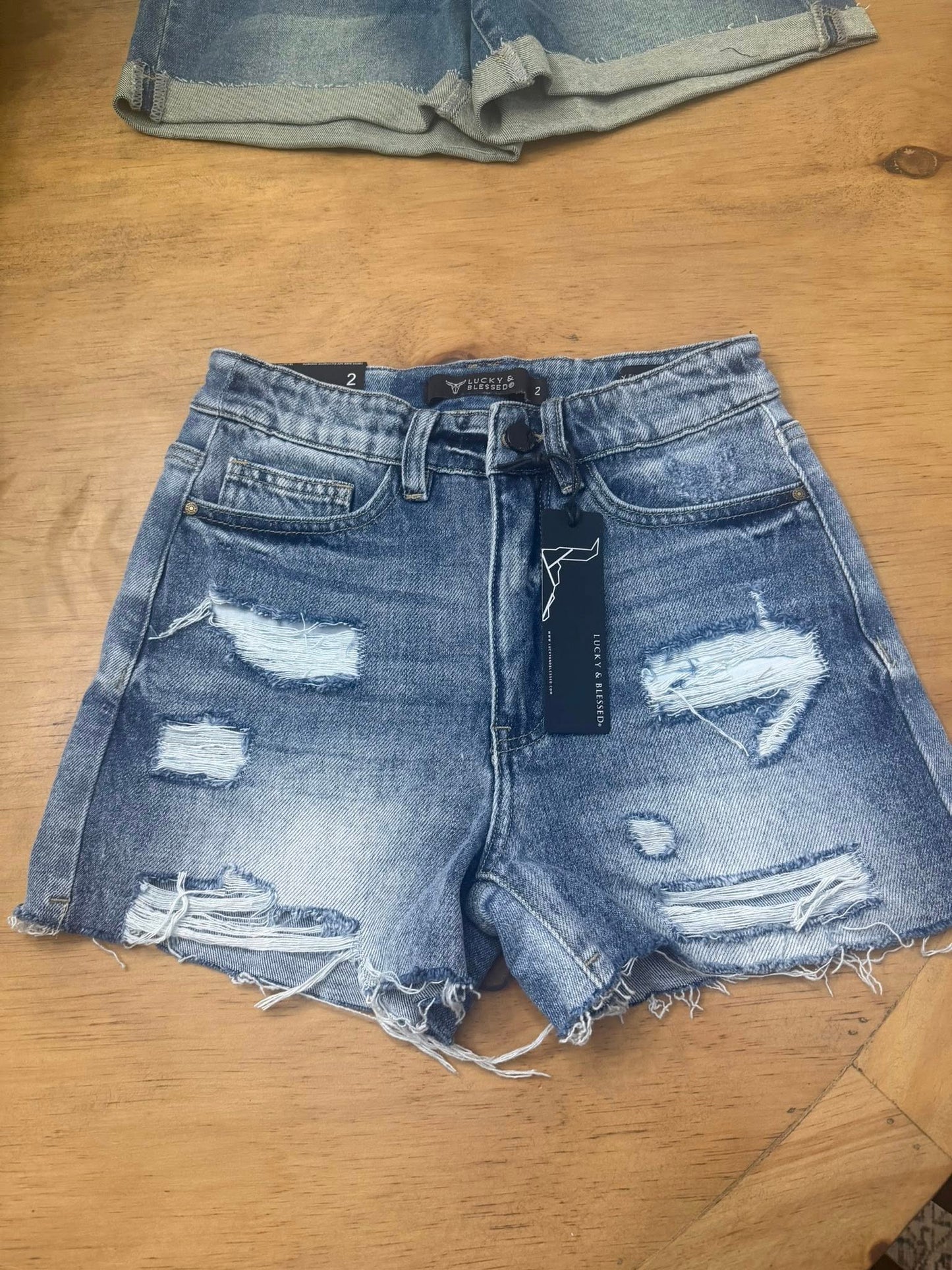 Mid Wash Rodeo Distressed Denim Shorts (Inseam 3")